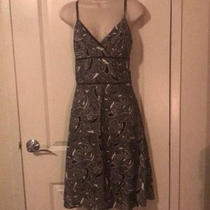Ann Taylor Loft Dress